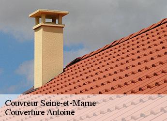 Couvreur 77 Seine-et-Marne Couverture Antoine