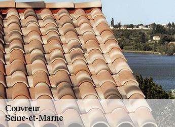 Couvreur Seine-et-Marne