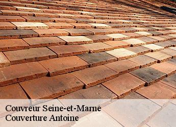 Couvreur Seine-et-Marne
