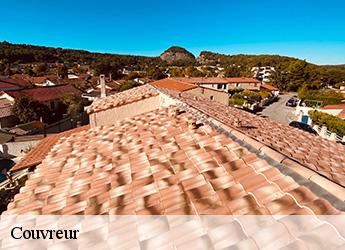 Couvreur Seine-et-Marne