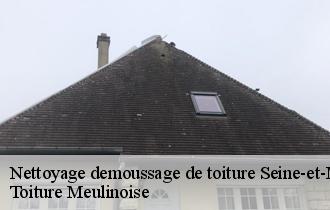 Nettoyage demoussage de toiture 77 Seine-et-Marne  Toiture Meulinoise