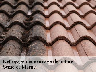 Nettoyage demoussage de toiture Seine-et-Marne 