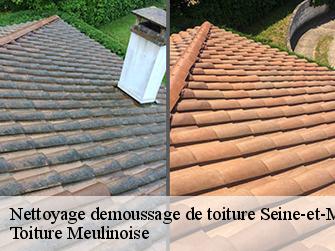 Nettoyage demoussage de toiture Seine-et-Marne 