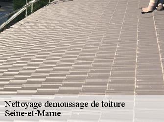 Nettoyage demoussage de toiture Seine-et-Marne 