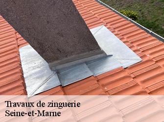 Travaux de zinguerie Seine-et-Marne 