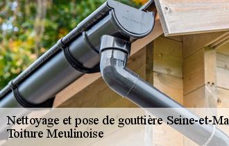 Nettoyage et pose de gouttière 77 Seine-et-Marne  Toiture Meulinoise