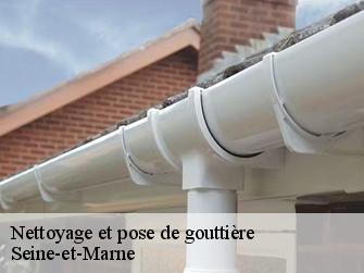 Nettoyage et pose de gouttière Seine-et-Marne 