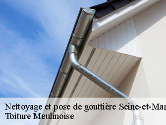 Nettoyage et pose de gouttière Seine-et-Marne 