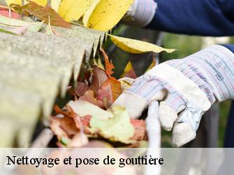 Nettoyage et pose de gouttière Seine-et-Marne 