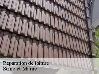 Réparation de toiture Seine-et-Marne 