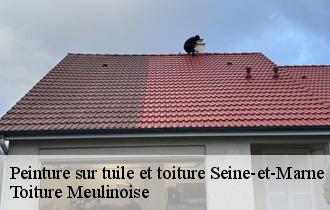 Peinture sur tuile et toiture 77 Seine-et-Marne  Toiture Meulinoise