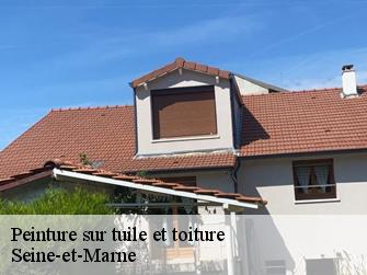 Peinture sur tuile et toiture Seine-et-Marne 