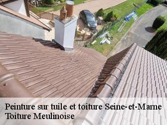 Peinture sur tuile et toiture Seine-et-Marne 