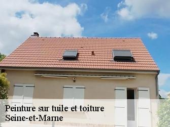 Peinture sur tuile et toiture