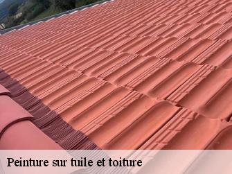 Peinture sur tuile et toiture Seine-et-Marne 