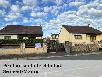 Peinture sur tuile et toiture Seine-et-Marne 