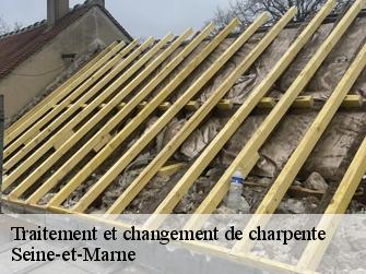 Traitement et changement de charpente Seine-et-Marne 