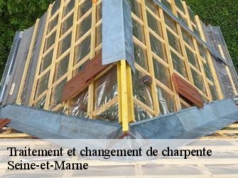 Traitement et changement de charpente