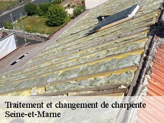 Traitement et changement de charpente Seine-et-Marne 