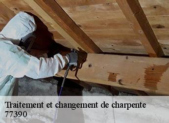 Traitement et changement de charpente  77390