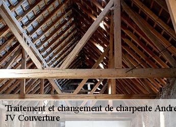 Traitement et changement de charpente  77390