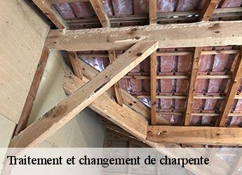 Traitement et changement de charpente  77410