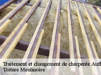 Traitement et changement de charpente  77570