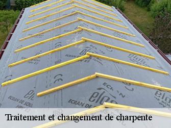 Traitement et changement de charpente  77570