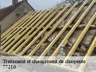 Traitement et changement de charpente  77210