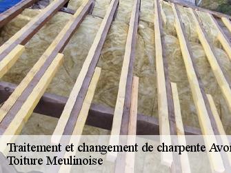 Traitement et changement de charpente  77210