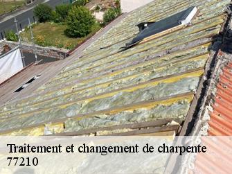 Traitement et changement de charpente  77210