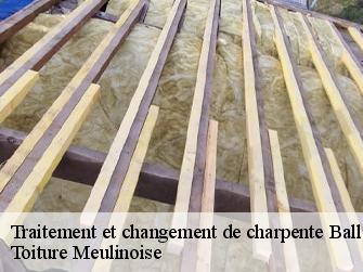 Traitement et changement de charpente  77118