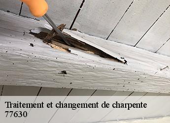 Traitement et changement de charpente  77630