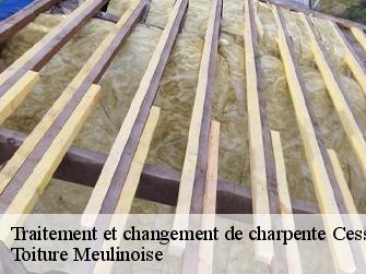 Traitement et changement de charpente  77520