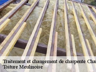 Traitement et changement de charpente  77660