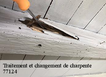 Traitement et changement de charpente  77124