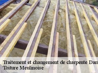 Traitement et changement de charpente  77190