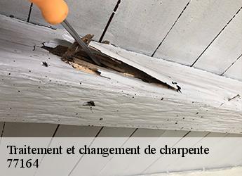 Traitement et changement de charpente  77164