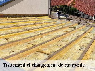 Traitement et changement de charpente