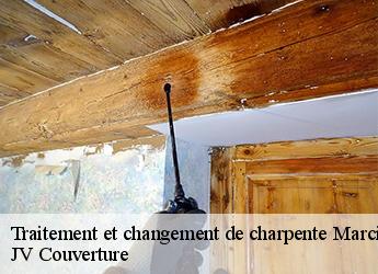 Traitement et changement de charpente