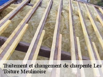 Traitement et changement de charpente  77560