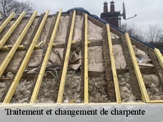 Traitement et changement de charpente