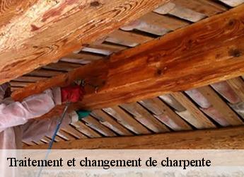 Traitement et changement de charpente