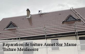 Réparation de toiture  annet-sur-marne-77410 Toiture Meulinoise