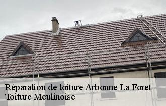 Réparation de toiture  arbonne-la-foret-77630 Toiture Meulinoise