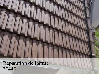 Réparation de toiture  77440