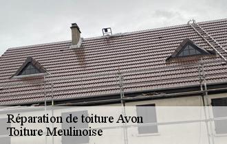 Réparation de toiture  avon-77210 Toiture Meulinoise