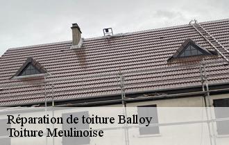 Réparation de toiture  balloy-77118 Toiture Meulinoise