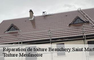 Réparation de toiture  beauchery-saint-martin-77560 Toiture Meulinoise