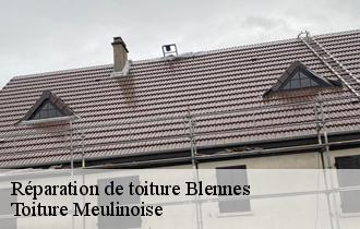 Réparation de toiture  blennes-77940 Toiture Meulinoise